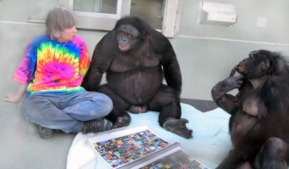 Sue Savage-Rumbaugh undergoing language research with bonobos Kanzi and Panbanisha (By Wcalvin - Own work, CC BY-SA 4.0, https://commons.wikimedia.org/w/index.php?curid=49108463)