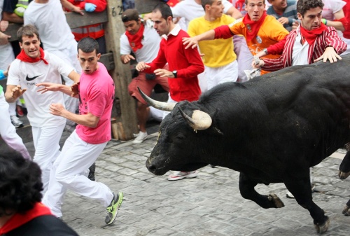 Alexander - far right, hand on bull - in Pamplona (Photo: Reuters /Joseba Etxaburu)